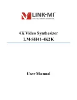 LINK-MI LM-SH41-4K2K User Manual preview