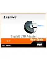 Preview for 1 page of Linksys USB1000 User Manual