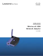 Preview for 1 page of Linksys WUSB54G User Manual