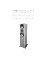 Предварительный просмотр 6 страницы Linn KABER LS500 Owner'S Manual