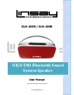 Linsay SLH-100B User Manual предпросмотр