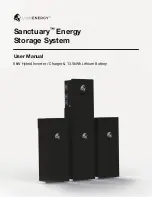 Lion Energy 50170132 User Manual предпросмотр