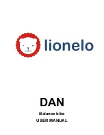 Lionelo DAN User Manual preview