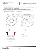 Preview for 18 page of Liquiflo FTS300 Series Safety, Installation, Operation And Maintenance Instructions