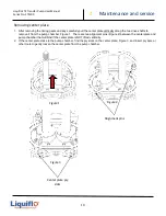 Preview for 19 page of Liquiflo FTS300 Series Safety, Installation, Operation And Maintenance Instructions