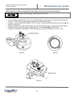 Предварительный просмотр 37 страницы Liquiflo FTS400 Series Safety, Installation, Operation And Maintenance Instructions