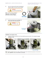 Предварительный просмотр 21 страницы Liquiflo POLY-GUARD P1 Installation, Operation & Maintenance Manual