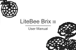 LiteBee Brix III User Manual preview