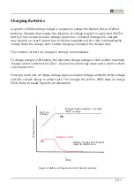 Preview for 8 page of Lithium Power Neuton Power BT Series User Manual