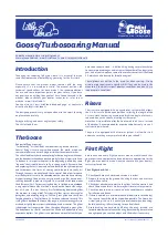 Preview for 4 page of LittleCloud Baby Goose Manual