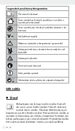 Предварительный просмотр 21 страницы LIVARNO LUX 14106204L Operation And Safety Notes