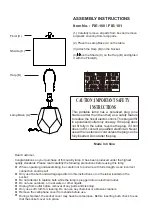 Living Spaces FIE-100 Assembly Instructions предпросмотр