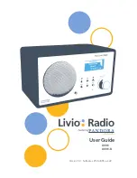 Livio Radio LV001 User Manual предпросмотр