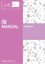 Livith Ladders Manual preview