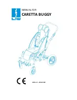 LIW CARETTA BUGGY Manual предпросмотр