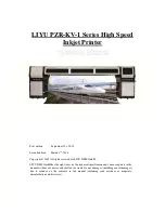 LIYU DMS PZR3204-KV-1 Operation Manuals preview