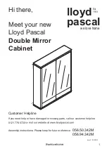 Предварительный просмотр 1 страницы Lloyd Pascal Double Mirror Cabinet Assembly Instructions Manual