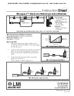 LMI Milton Roy Micropace MP-100 Instruction Sheet preview
