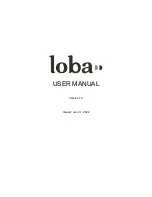 LOBA AT HOME User Manual preview