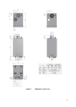 Предварительный просмотр 19 страницы Lochinvar CP-M Series Installation, Commissioning & Maintenance Instructions