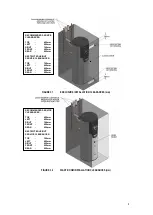 Preview for 9 page of Lochinvar EcoShield Series Installation, Commissioning And Maintenance Instructions