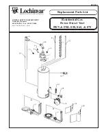 Lochinvar LVN(L) 065 Replacement Parts List предпросмотр