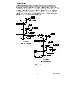 Предварительный просмотр 19 страницы Lochinvar RPD-I-S User Manual