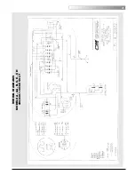 Предварительный просмотр 29 страницы Lodestar CM Hoist Operating Manual