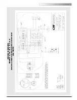 Предварительный просмотр 31 страницы Lodestar CM Hoist Operating Manual