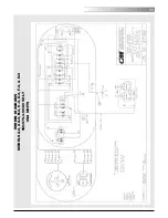 Предварительный просмотр 39 страницы Lodestar CM Hoist Operating Manual