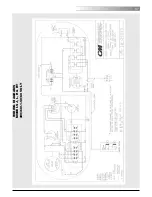 Предварительный просмотр 41 страницы Lodestar CM Hoist Operating Manual