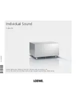 Loewe 69211T Operating Instructions Manual preview