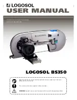 Предварительный просмотр 1 страницы Logosol BS350 User Manual