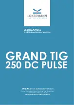 LOKERMANN GRAND TIG 250 DC PULSE User Manual preview