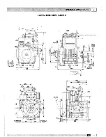 Preview for 12 page of Lombardini 9LD561-2 Workshop Manual