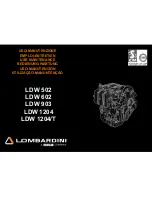 Preview for 1 page of Lombardini LDW 1204 Use Maintenance And Consumer Information