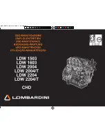 Lombardini LDW 1503 Use And Maintenance preview