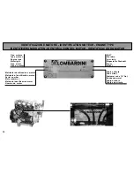 Preview for 14 page of Lombardini LDW 1503 Use And Maintenance