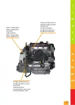 Preview for 12 page of Lombardini LDW 502 M Use & Maintenance