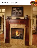 Preview for 1 page of Lopi Clean Face Gas Fireplace Specification