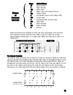 Предварительный просмотр 13 страницы Lotus Music The Harmonizer User Manual And Theory Manual