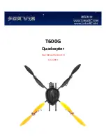 LotusRC T600G User Manual preview