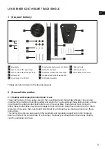 Предварительный просмотр 9 страницы Louis 10014799 Instructions For Use Manual