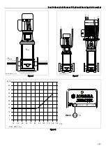 Предварительный просмотр 215 страницы Lowara 10SV Installation And Operation Instructions Manual