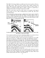 Preview for 41 page of Lowrance X50 DS Installation And Operation Instructions Manual