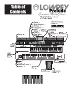 Предварительный просмотр 6 страницы Lowrey Prelude A300CC User Manual