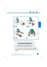 Preview for 39 page of LUCAS Stabilization Strap Instructions For Use Manual