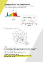 Предварительный просмотр 65 страницы Lumatek LUMLED020 Manual