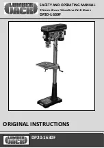 Lumberjack DP20-1630F Safety And Operating Manual preview