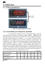 Предварительный просмотр 4 страницы Lumel N24 Series User Manual & Quick Start